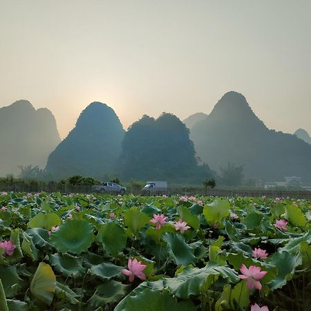 Yangshuo Tea Cozy--One Way Free Pick Up From Airport Or Ts 4 Nights Pensionat Eksteriør billede